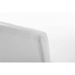 CLP Eetkamerstoel Ina Natura Frame Kunstleder Wit 9 CLP Eetkamerstoel Ina Natura Frame Kunstleder Wit -Meubelwinkel 1000068182 0104