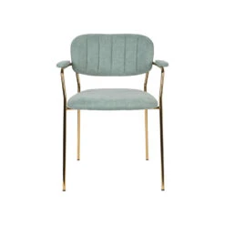 Rein Living Jolien Armstoel - Goud/Lichtgroen - Set Van 2 9 Rein Living Jolien Armstoel - Goud/Lichtgroen - Set Van 2 -Meubelwinkel 1000087474 0103