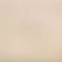 VidaXL Eetkamerstoelen Draaibaar 2 St Kunstleer Crèmekleurig -Meubelwinkel 1778299189 0102