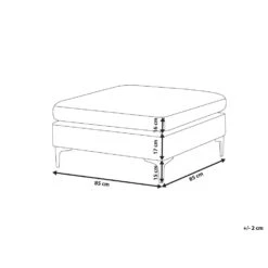 Beliani Ottomaan EVJA - Roze Fluweel -Meubelwinkel 538f66df43d9473cafcc1a545aa4ec8b